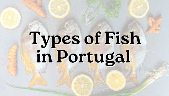 Types of fish in Portugal