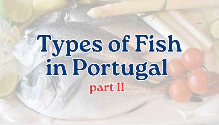Fish of Portugal – part 2